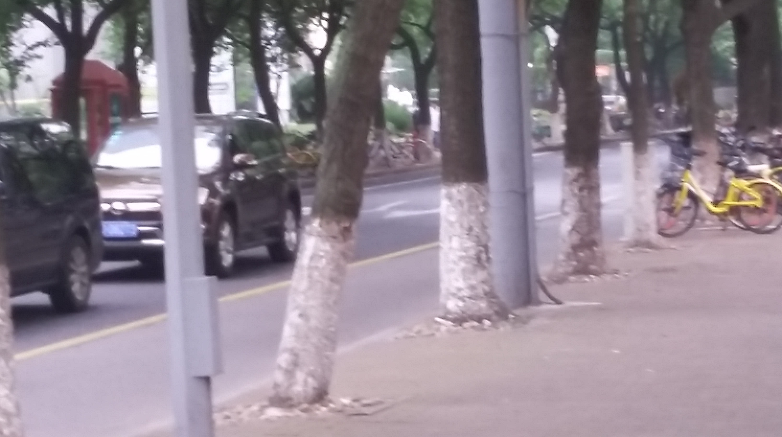 Arbre peint en bas