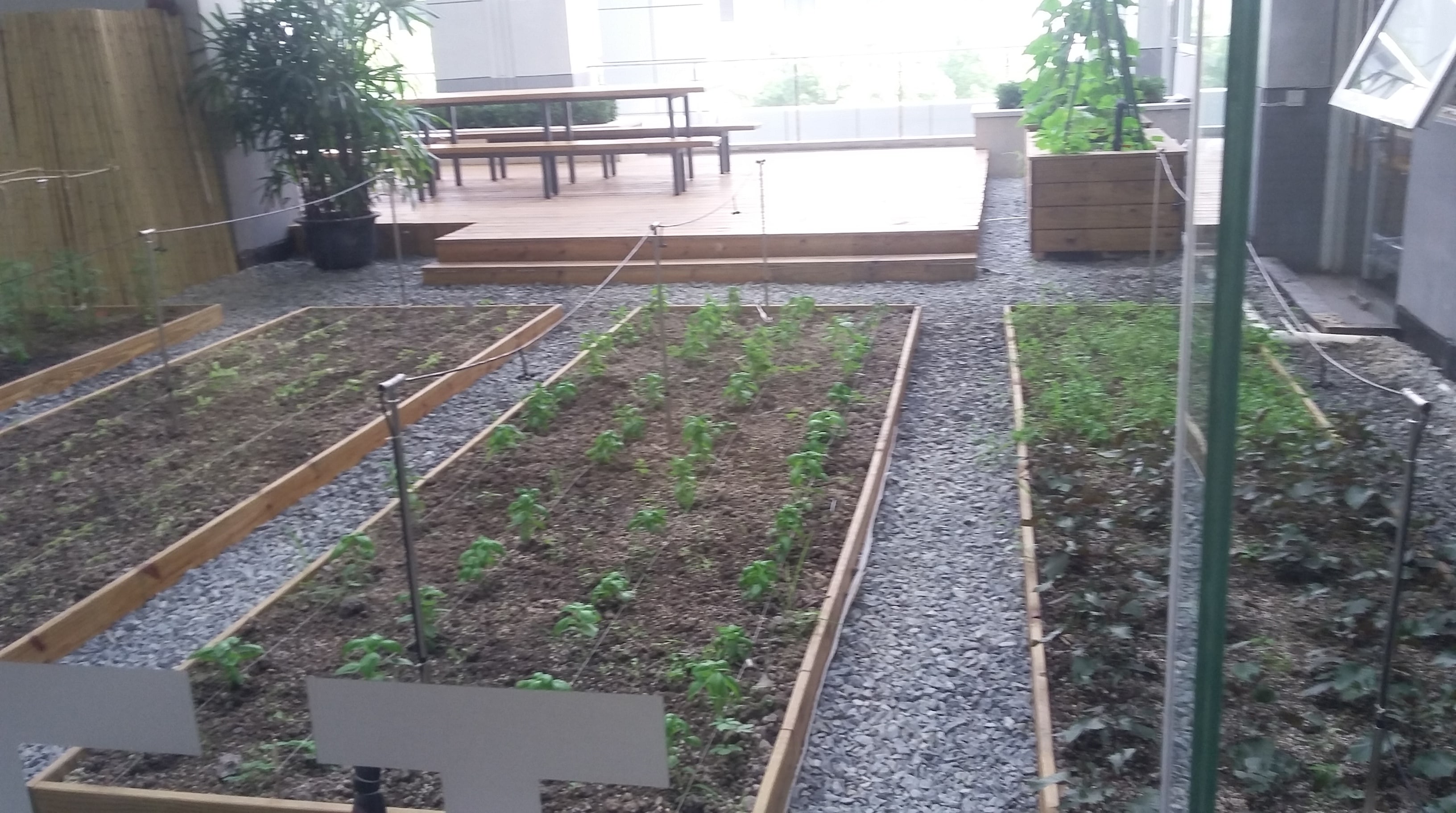 Le jardin